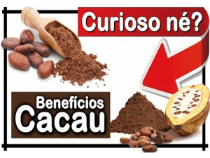 Benefícios – O Cacau e a Sua Saúde