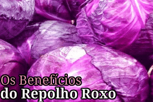 Benefícios – O Repolho Roxo e Sua Saúde